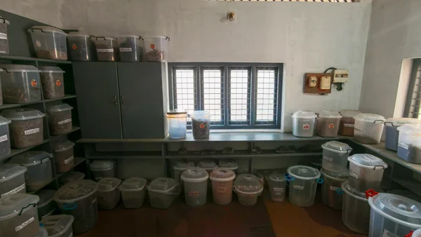 Ayurvedic medicine ingredients at Thulasi